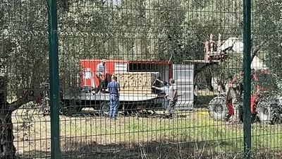 Bursa'da zeytinlikten tarih fışkırdı