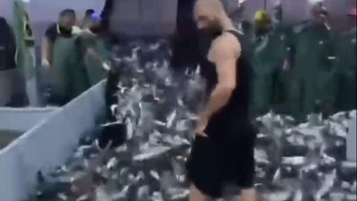 Karadeniz'den palamut fışkırdı; herkes bu videoyu paylaşıyor