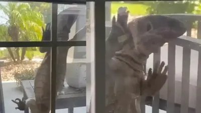Penceresinde karşılaştığı yabancı nedeniyle korku dolu anlar yaşadı