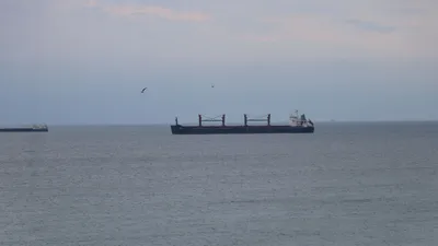 Tekirdağ'da yük gemisi karaya oturdu
