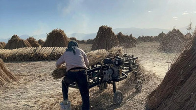 Türkiye'de toplanıyor, Avrupa ülkeleri kapış kapış alıyor