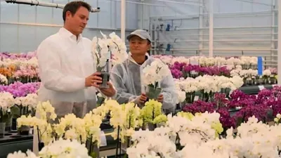 Alibaba’nın kurucusu Jack Ma firarda! Bakın nereden çıktı