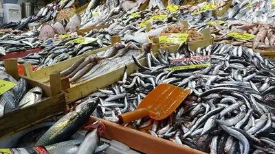 Balık tezgahlarında hareketlilik: İşte en çok tercih edilen balık