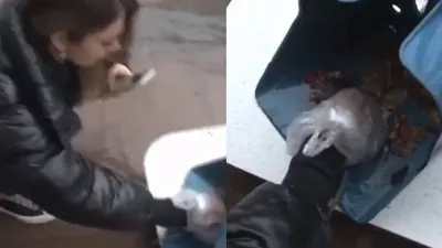 İzmir'deki selde ilginç anlar: Ne olur ölme diye ağlayarak fareye kalp masajı yaptı