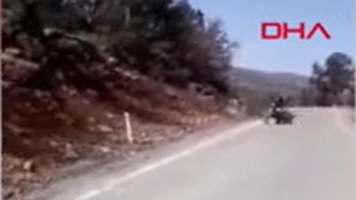 Çalılıklardan çıkan yaban domuzu böyle saldırdı