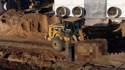 Bu yılın ilk kuş gribi görüldü: 40 bin tavuk aynı anda itlaf edildi