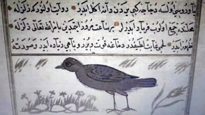 800 yıllık kaynak ortaya çıkardı: Depremi bir saat öncesinden hissedebiliyorlar!