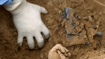 Dehşete düşüren olay! Toprağı kazdıkça ceset fışkırdı