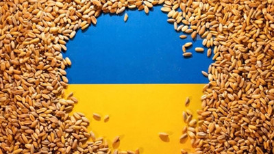 Bir ülke daha Ukrayna'dan tahıl ithalatını durdurdu