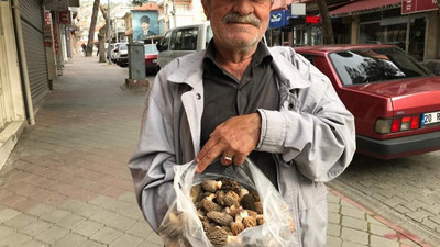 Boş zamanlarında toplayıp, kilosunu 400 TL'den satıyor!