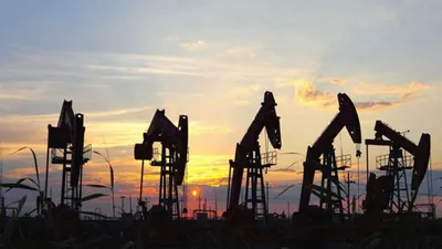 Bakan Soylu'dan ''Gabar petrolü'' açıklaması: Suudi Arabistan kalitesinde