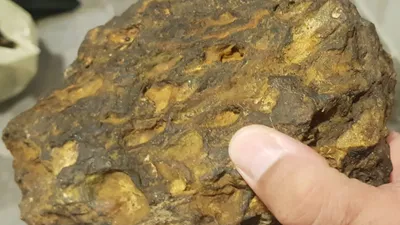Kırklareli'nde doğa yürüyüşünde tesadüfen bir servet buldular