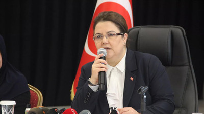 Bakan Yanık ''Hollanda'da sahipsiz Türk çocuk'' iddialarına yanıt verdi