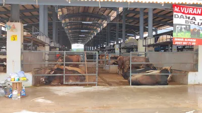 Kurban Bayramı öncesi hayvan pazarına şap karantinası