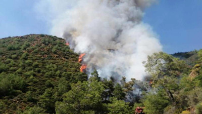 Cesedi orman yangını çıkartmıştı: Marmaris'teki cinayetin detayları ortaya çıktı