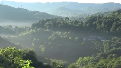 Bayram sabahı yine silahlar konuştu!