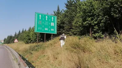 Otoyol kenarında ceset bulundu