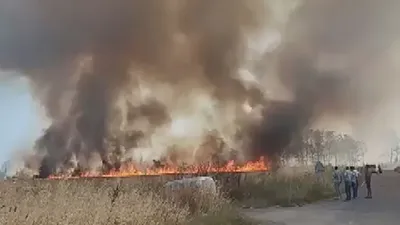 İstanbul Çatalca'da tarla yangını