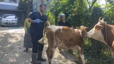 Bir ilimizde  120 köye karantina altında!