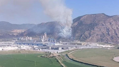 Aydın'da orman yangını