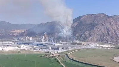 Aydın'da orman yangını