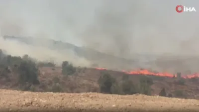 İzmir'de korkutan yangın