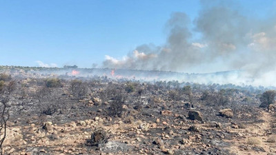 İzmir'de ormanlık alanda yangın