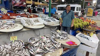 Av sezonunun ilk balıkları tezgaha çıktı! İşte fiyatlar...
