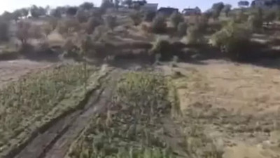 Bakan Yerlikaya duyurdu: 2 tondan fazla esrar ele geçirildi