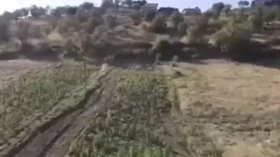 Bakan Yerlikaya duyurdu: 2 tondan fazla esrar ele geçirildi