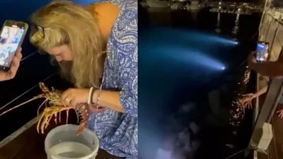 Binlerce lira değerinde ıstakoz sipariş edip geri denize bıraktı!