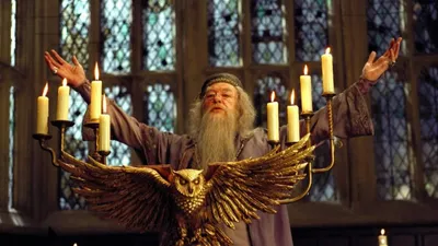 Harry Potter efsanesi yaşamını yitirdi