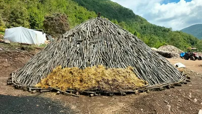 Ormandan toplayıp üretiyorlar... Hem onlar kazanıyor, hem de ekonomi