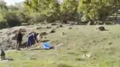 Define avcıları suçüstü yakalandı