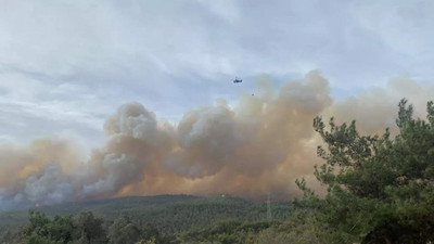 Çanakkale'de orman yangını: Bir köy boşaltıldı