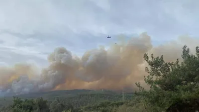 Çanakkale'de orman yangını: Bir köy boşaltıldı