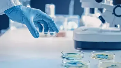 Sadece erkekleri öldüren virüs keşfedildi!