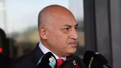 Mehmet Büyükekşi EURO 2024 hedefini açıkladı