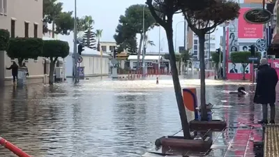 Denizle karanın birleştiği ilimizde kabus gün aydınlanınca ortaya çıktı