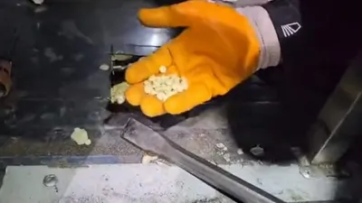 Bakanlık ve MİT'ten dev operasyon