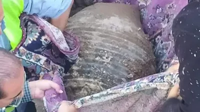 Altın dolu küp söylentisi olay olmuştu, o küp açıldı