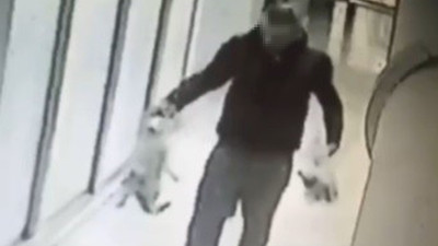 İzmir'deki kedi katili için karar verildi
