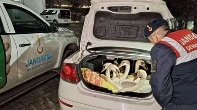 Bagajda kaçak sığınmacı beklerken bakın ne çıktı