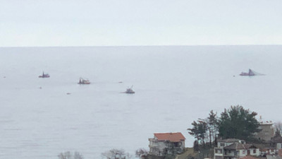 Zonguldak açıklarında balık bolluğu!