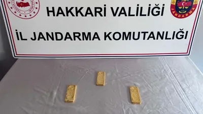 Hakkari'de 6.6 milyon TL'lik operasyon