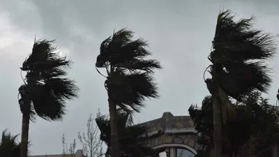 Meteoroloji'den 7 il için fırtına uyarısı! Hızı 80 kilometreyi bulacak