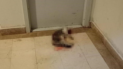 Kedi Eros'un öldüren sanık hakkında yeni gelişme