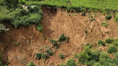 Karadeniz'de endişe veren uyarı: Ormanlar katledildi, heyelan riski büyüyor