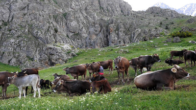 40 bin TL maaşla işçi bulamayınca, çözümü böyle buldular