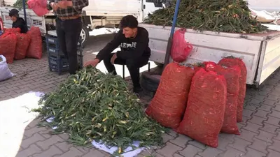 O Türkiye'nin kendi kendine yetişen şifa kaynağı mucizesi
